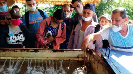 Universidad de Cienfuegos: Intercambio y colaboración