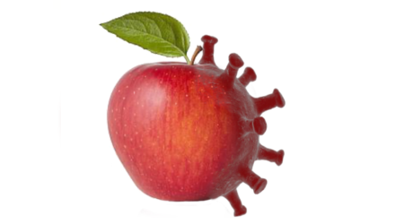 La manzana Covid-19