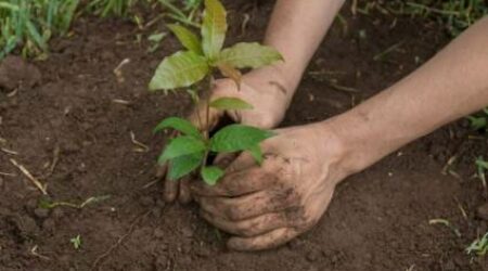 Las Tunas: sede de las actividades en Cuba por el Día Mundial del Medio Ambiente
