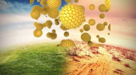 Realizan pronóstico de cómo las cargas de polen influirán en el clima