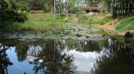 El patrimonio natural de Cienfuegos
