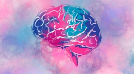 Estudio revela crecimiento constante del cerebro humano