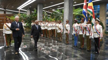 Presidentes de Cuba y de Seychelles evaluaron compromisos y perspectivas conjuntas