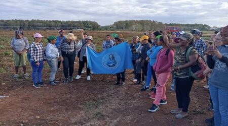Por el 8 de Marzo, mujeres de Cienfuegos aportan desde la raíz