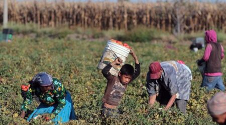 Trabajo infantil: un horror que persiste
