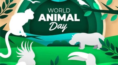 Día Mundial de los Animales