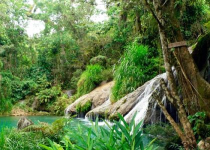 La resiliencia ecológica: el desafío vital de Cienfuegos