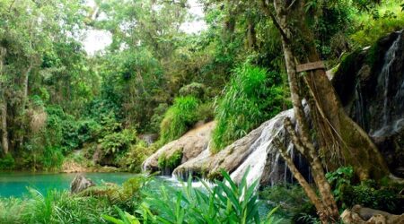 La resiliencia ecológica: el desafío vital de Cienfuegos