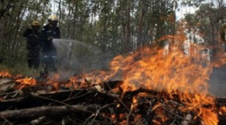 En Cienfuegos, campaña de protección contra incendios forestales